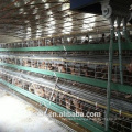 Cages de canard galvanisées à chaud pour l&#39;équipement automatique d&#39;élevage de canards
